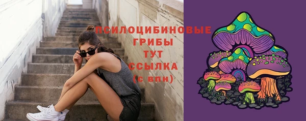 хмурый Няндома