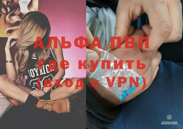 spice Осташков