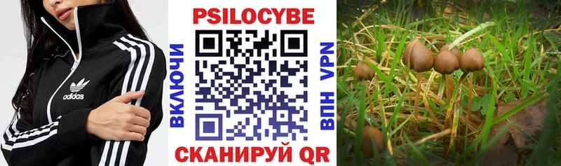 Псилоцибиновые грибы ЛСД  Байкальск 